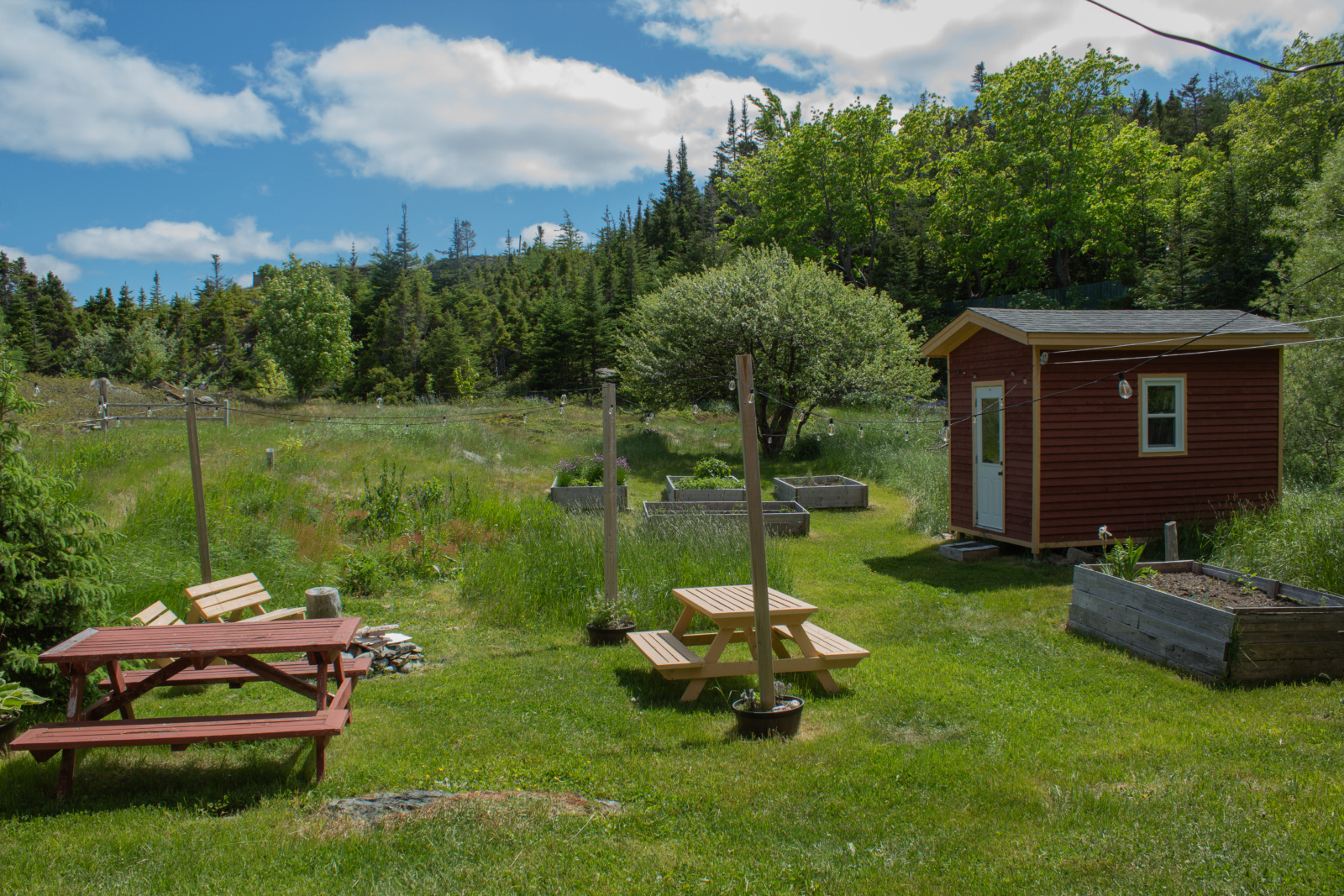 The garden, surrounded by trees: wooden garden beds with plants scattered around, multiple benches surrounding a firepit, and a wooden shed to the right.